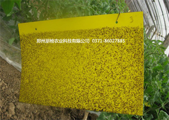 PJ-ZCB����/����/�˵� /��@��Чճ�x�S��