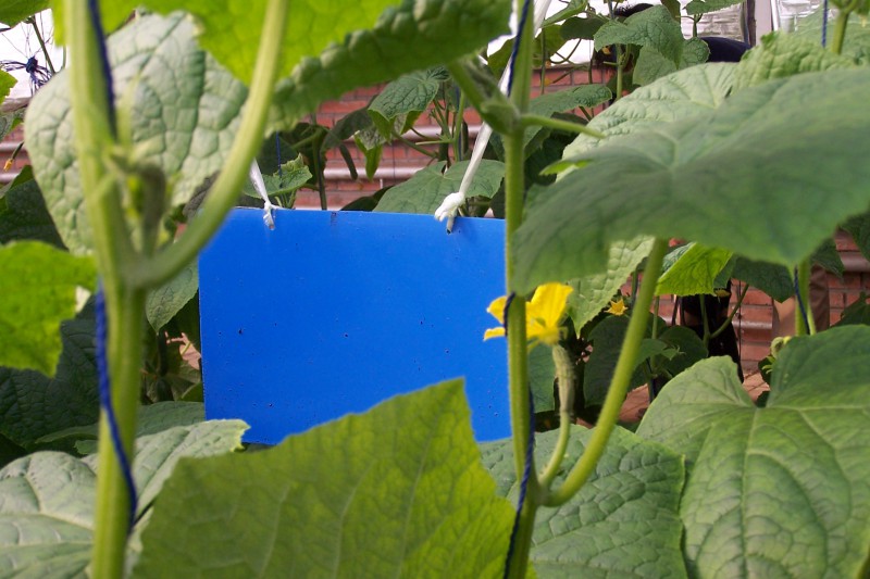 PJ-ZCB����/����/�˵� /��@��Чճ�x�{(l��n)��